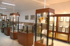 موزه تاریخ طبیعی دانشگاه