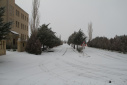 گزارش تصویری/ بارش اولین برف زمستانی در دانشگاه تفرش